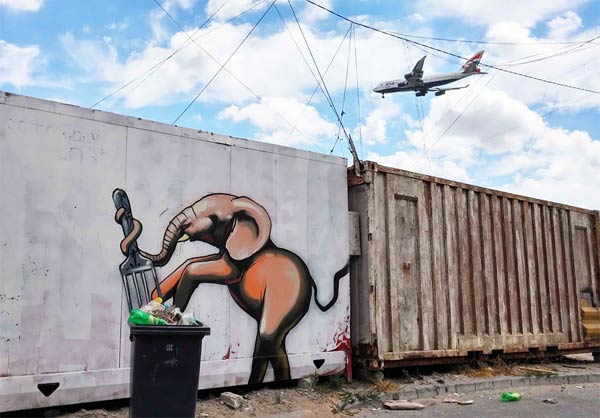 Elephant Graffiti Art