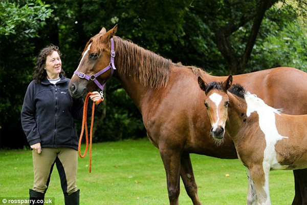 Foal Born with Another Horse Marking