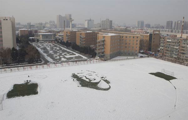 Marilyn Monroe Portrait Created with Snow On A Soccer Pitch