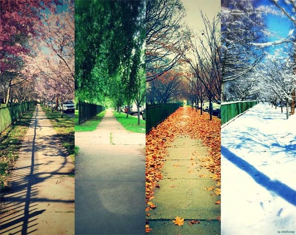 One Street, Four Seasons