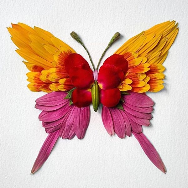 Insects Created with Flowers