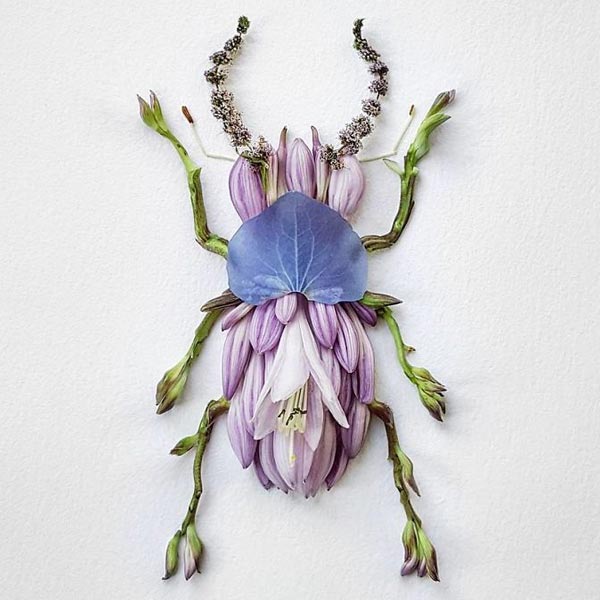 Insect Flower Arrangements by Raku Inoue