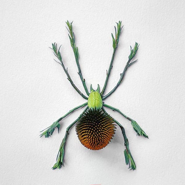 Artist Delicately Crafts Colorful Insects From Freshly Cut Flowers
