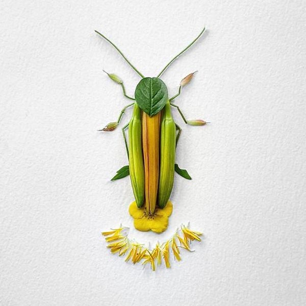 Raku Inoue arranges wildlife of natura insects from flowers