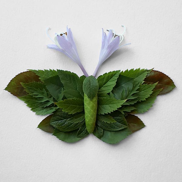 Insects Created with Flowers