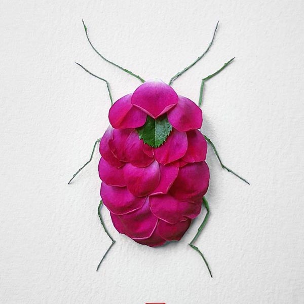 Insects Created with Flowers