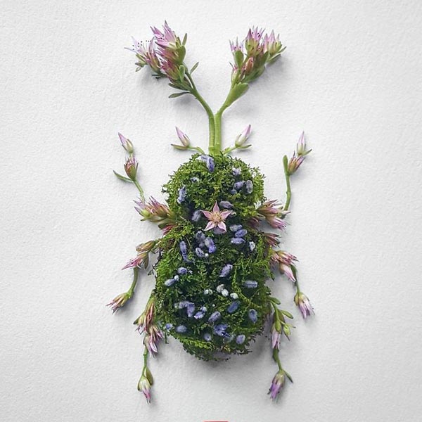 Insects Created with Flowers