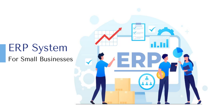 Why Small Businesses Required an ERP System?