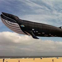 90 ft Whale Kite