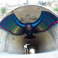 Giant Eagle Painted On A Tunnel's Roof In Spain