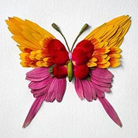 Natura Insects: A Series of Insects Made of Flowers