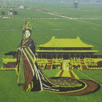 Giant 3D Image of TV Character Mi Yue Created with Rice Plants