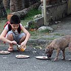 Young Boy Feeds Starving Stray Dogs in His Spare Time