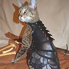 Beautiful Battle Armor For Cats