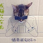 Cat's Cosplay Drawn on Cardboard Cutouts