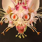 Animal Skeleton Sculptures Decorated with Flowers