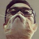 Cat Beard - Latest Bizarre Photo Trend