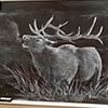 Art Teacher Draws Stunning Chalkboard Drawings