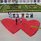 Interlocking Hearts Made of 99,999 Chillies