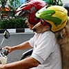 Pet Dogs Ride Motorcycle With Owner In Indonesia