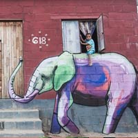 Elephant Graffiti Art by Falko One