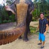 Elephant Uses Trunk To Take Selfie In Thailand