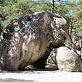 This Rock Looks Like an Elephant