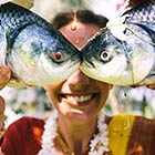 Fish Dressed Up As Bride & Groom In Bengali Gaye Holud Wedding Ritual