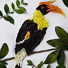 Bird Illustrations Made Out of Flower Petals