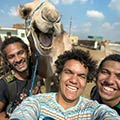 Camel Smiling For Camera