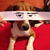 Artist Creates Funny Eye Illustrations For His Dog