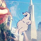 Funny Doodles on Transparency Interacting with Real World