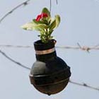 Palestinian Woman Plants Flowers In Tear Gas Grenades
