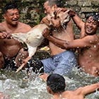 Bizarre Baby Goat Drowning Ritual