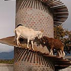 The Goat Tower