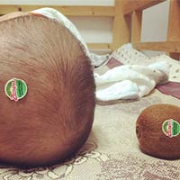 Kiwi with Baby Head Prank