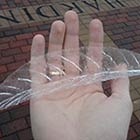 Perfect Layer of Ice Peeled Off a Tree's Leaf