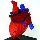Human Heart Made of Lego Bricks