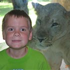 Close Encounter with a Lioness