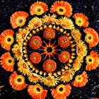 Beautiful Mandalas Made from Nature by Kathy Klein