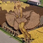 Giant Image of Marilyn Monroe Created In Rice Field