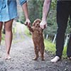 Couple Takes Newborn Photos With Their Dog