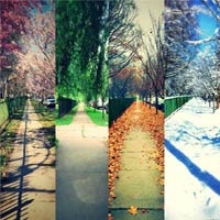 One Street, Four Seasons