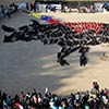 Bull Shape Formed By Members of Animal Rights Organization