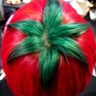 Ripe Tomato Hairstyle