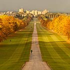 The Long Walk: Road to Windsor Castle