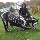 Skeleton Horse For Halloween