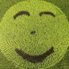 Smiley Face Made of Rice Plants