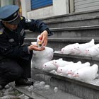 Security Guard in China Creates Snow Birds