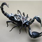 Robotic Steampunk Insects & Bugs